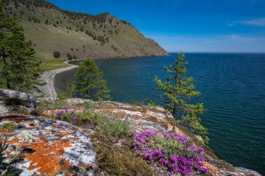 Baykal Gölü 'nün güzel körfezi