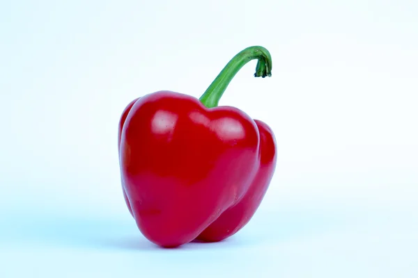 Bell pepper Food preparatio — Stock Photo, Image