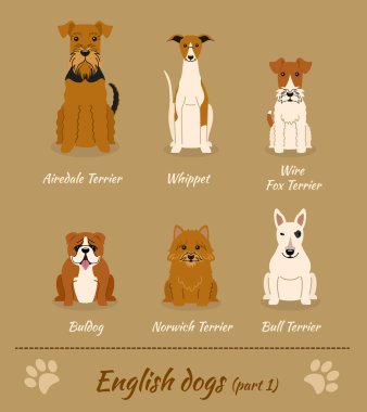 Set of English dogs clipart