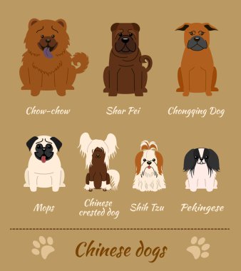 Köpeklerin Cginese cins