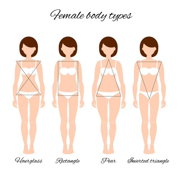 Types de corps — Image vectorielle