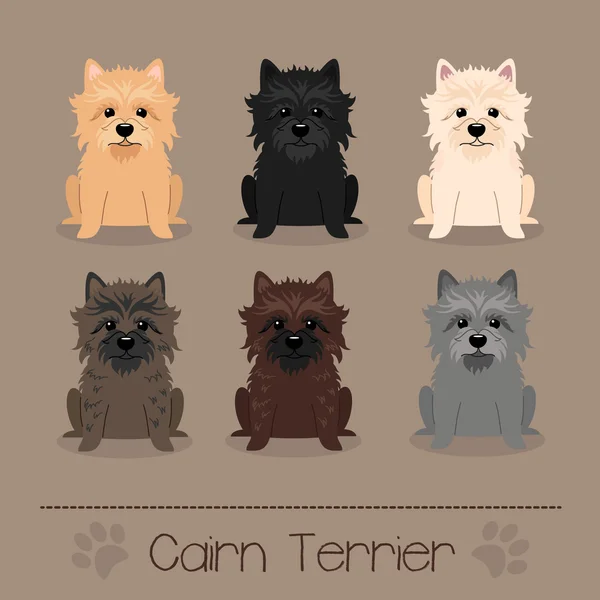 Colori diversi Cairn Terrier — Vettoriale Stock