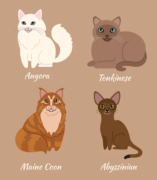 Farklı kedi cinsi — Stok Vektör