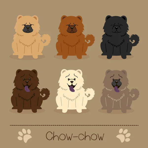Verschillende kleuren Chow-Chow — Stockvector
