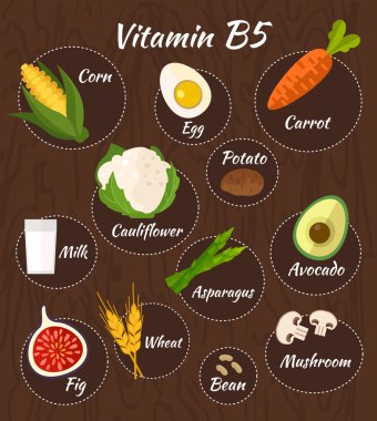 Vitamini Infographic kümesi