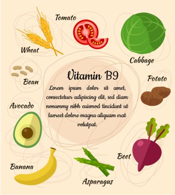 Vitamini Infographic kümesi