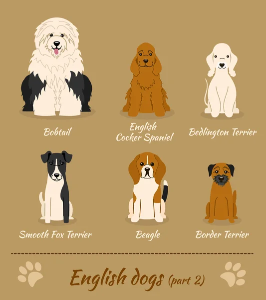 English breed of dogs — Stock Vector