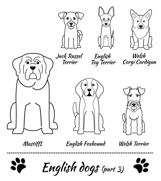 English breed of dogs — Stockový vektor