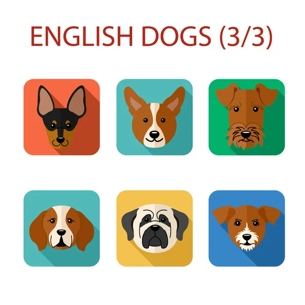 English breed of dogs — 图库矢量图片