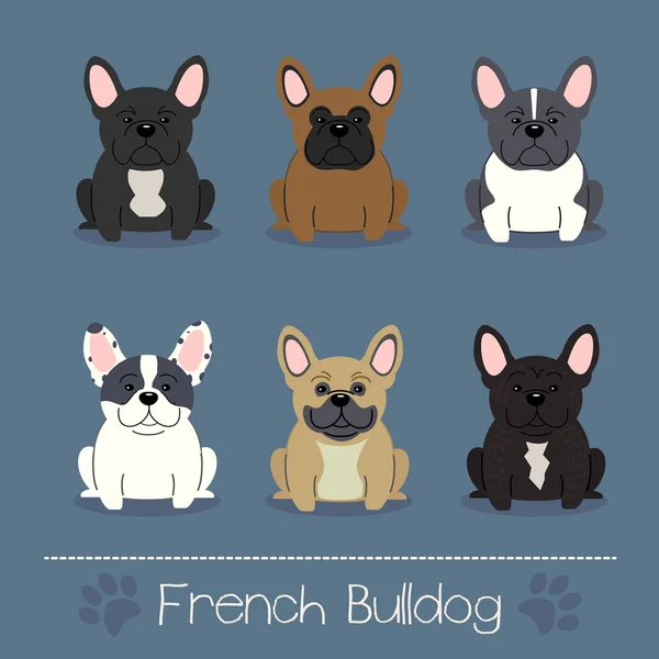 Diferentes colores Bulldog francés — Vector de stock