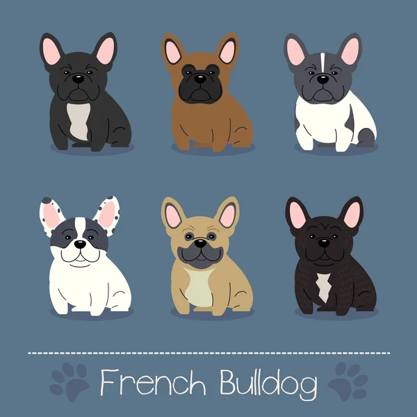 Diferentes colores Bulldog francés — Vector de stock