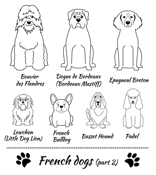 French breed of dogs — Stock Vector