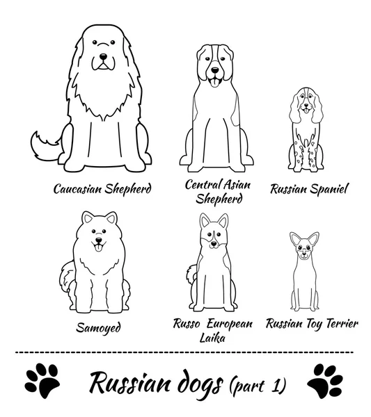 Russian breed of dogs — Stock Vector