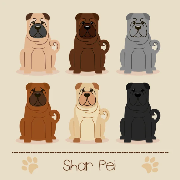 Farklı renklerShar Pei — Stok Vektör