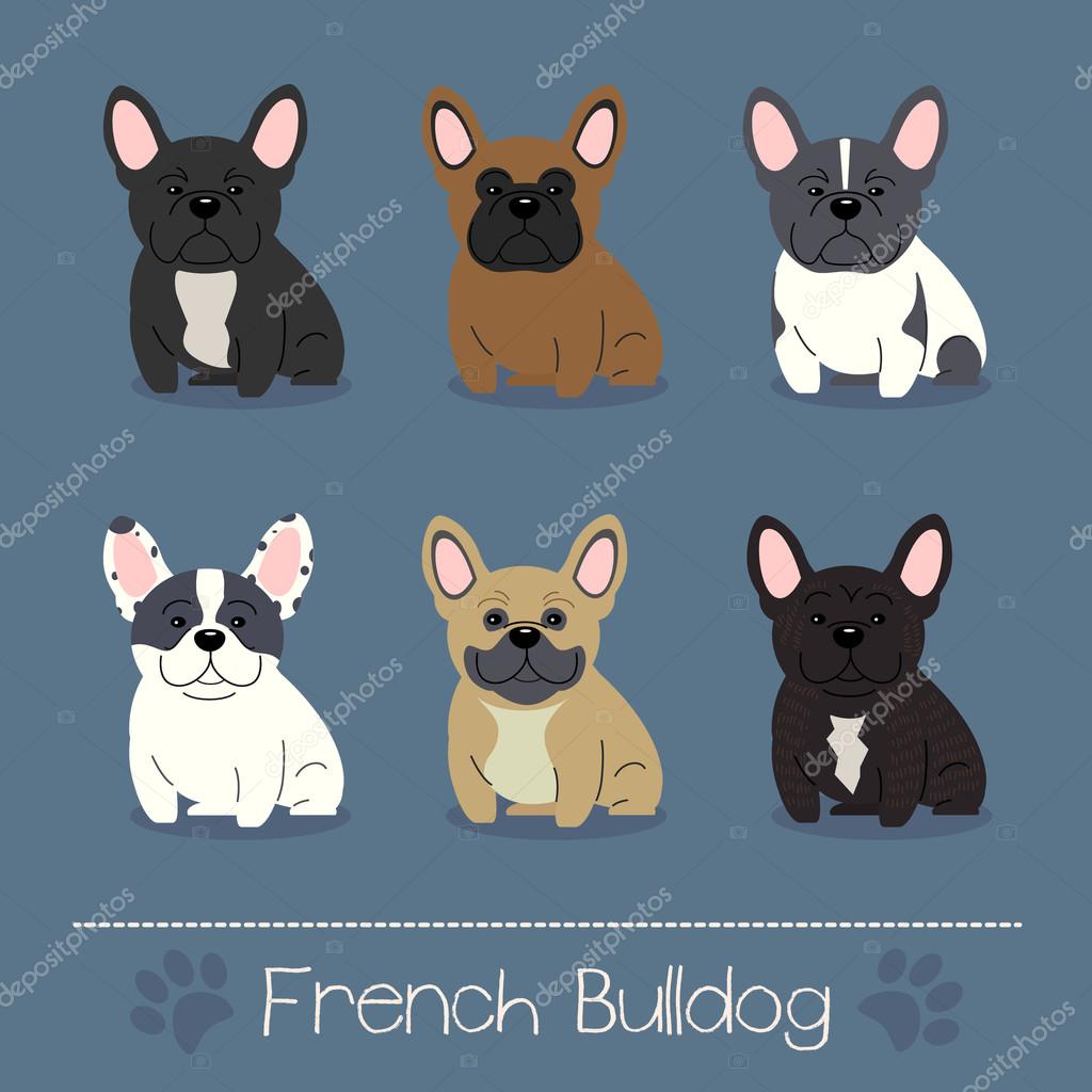 英国斗牛犬吃什么狗粮好？十大狗粮排行榜推荐！_搜狐网, image size:1024x1024