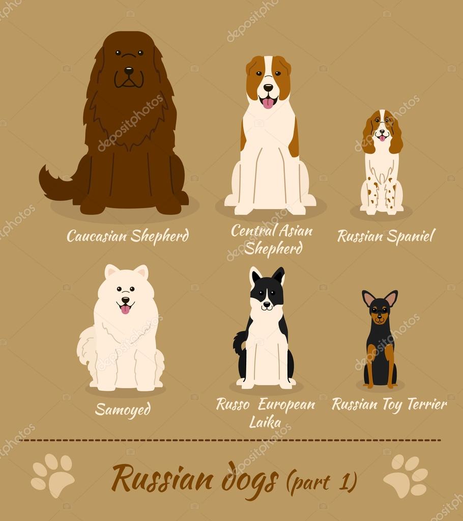 Caucasian Shepherd Alabai Russian Dog Russian White Shepherd Pure