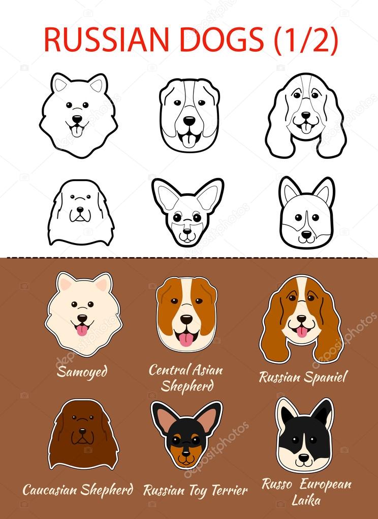 Russian breed of dogs Stock Vector Image by ©ma_llina #108172866
