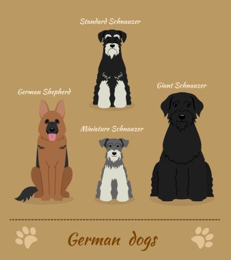 Alman köpekler kümesi