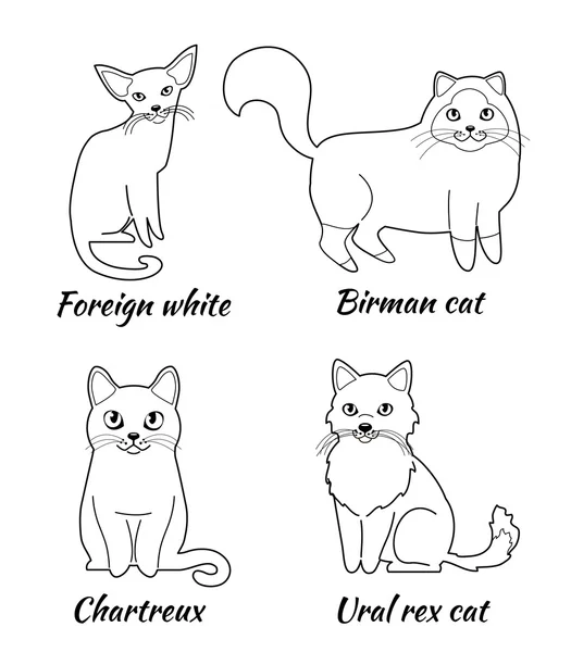 Набор мультяшных котов — стоковый вектор