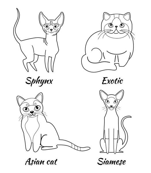 Ensemble de chats de bande dessinée — Image vectorielle