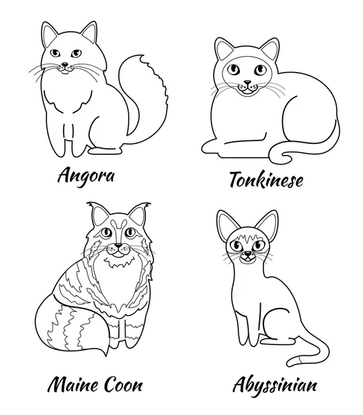 Uppsättning av tecknade katter — Stock vektor