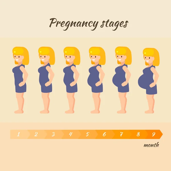 Illustrazione vettoriale sulla gravidanza — Vettoriale Stock