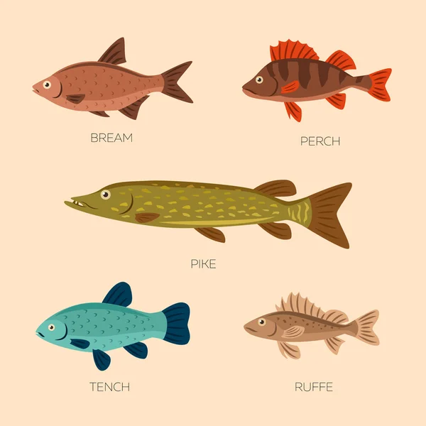 Carino cartoni animati pesci piatti — Vettoriale Stock