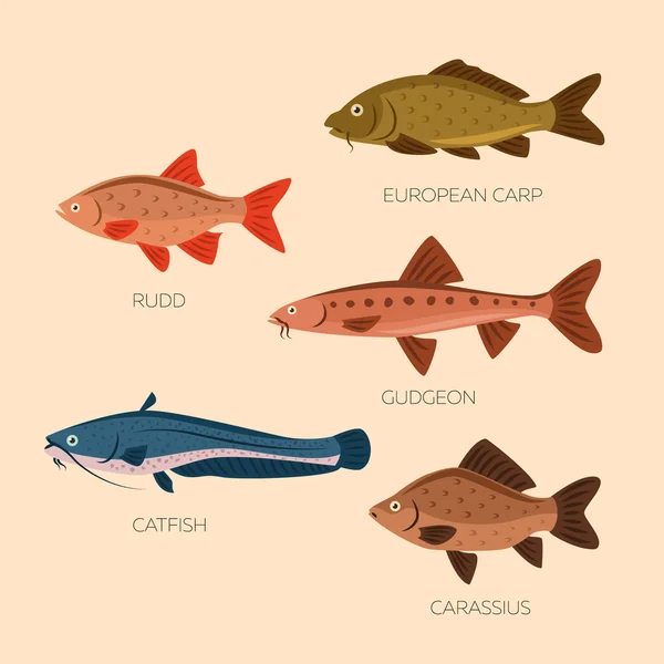 Desenhos animados bonitos peixes planos — Vetor de Stock