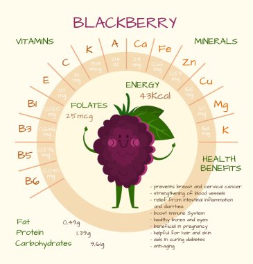 Diyet ve beslenme kavramı