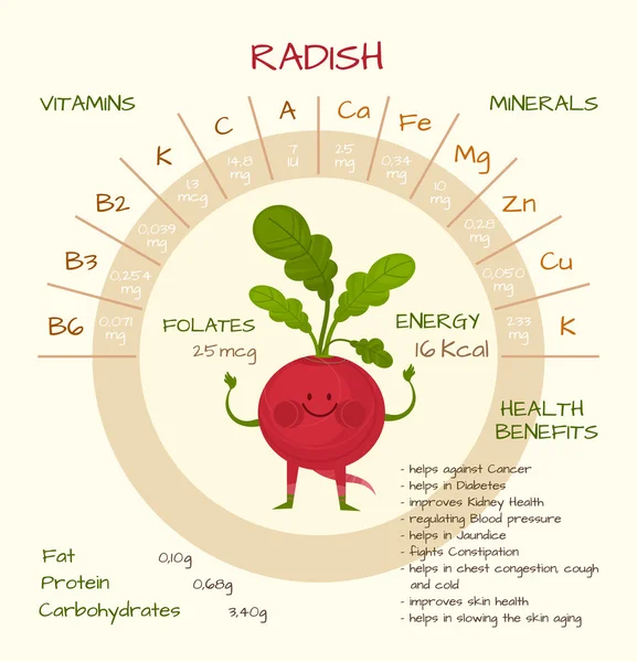 Vitaminas y minerales Gráficos Vectoriales