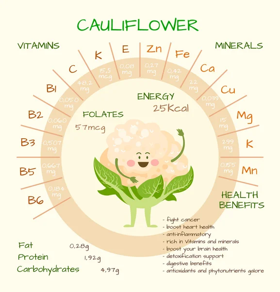 Vitamins and minerals — Stock Vector