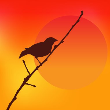 Kuşlara karşı günbatımı. Renkli vektör.