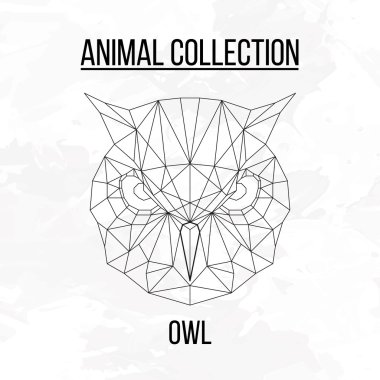 Geometrik baykuş kafası