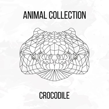 Geometrik timsah kafa