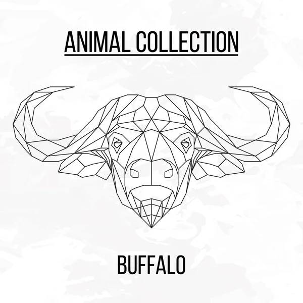Buffalo geometrycznej głowa — Wektor stockowy