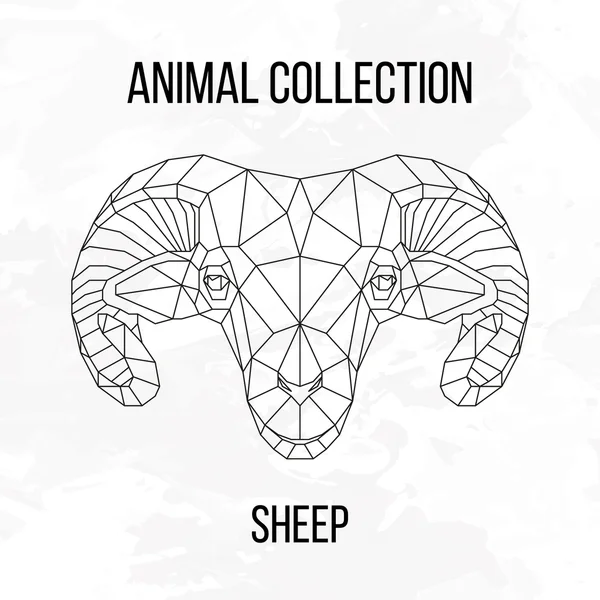 Geometric sheep head — Stock Vector