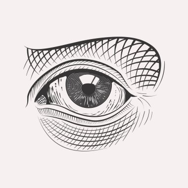 Oyulmuş handdrawn göz