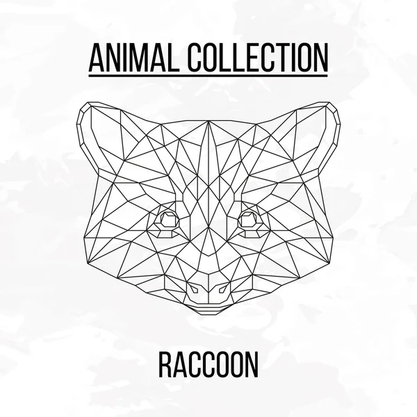 Geometrik Rakun kafa