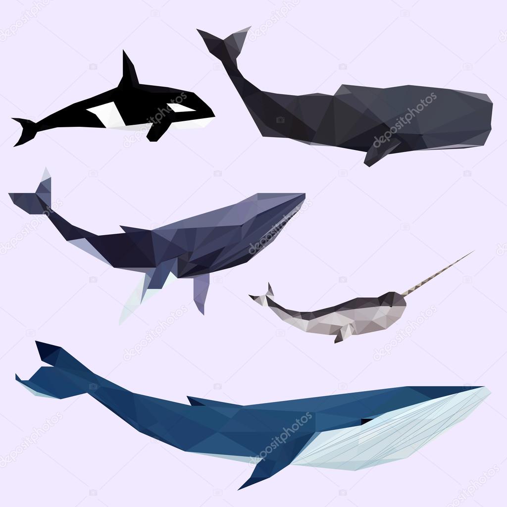 Set of geometric colored whales isolated on a background vintage design element
