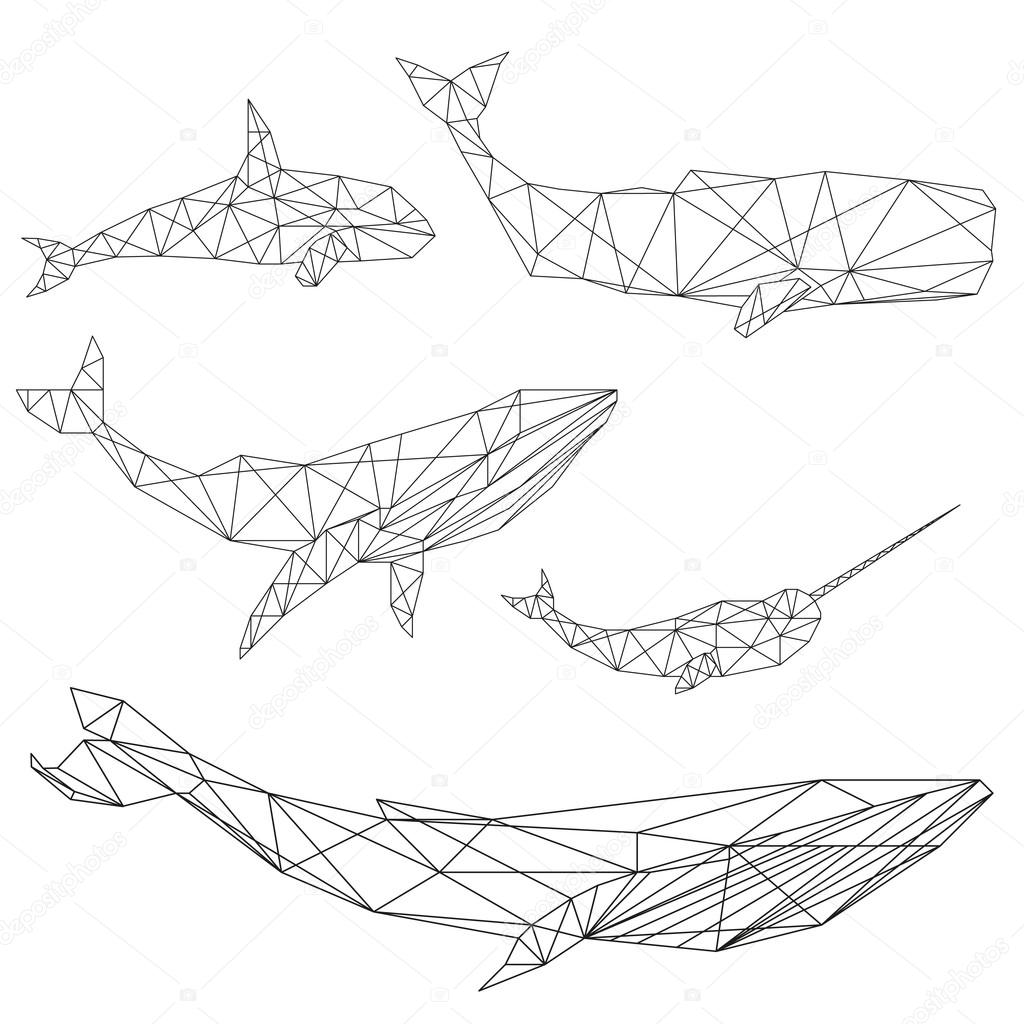 Set of geometric whales isolated on white background vintage design element
