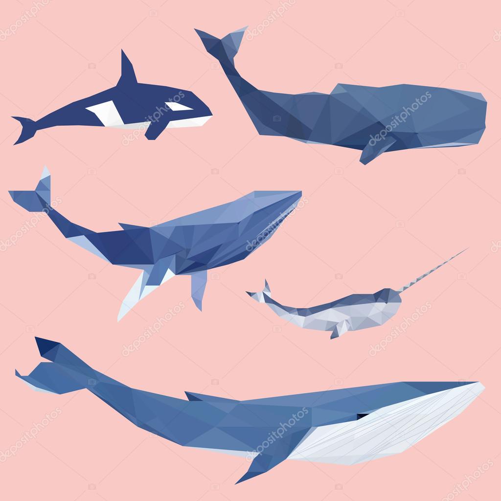 Set of geometric pantone whales isolated on a background vintage design element
