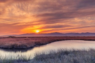 A picturesque seaside landscape at sunset with calm water, lush vegetation and mountains under a clear sky