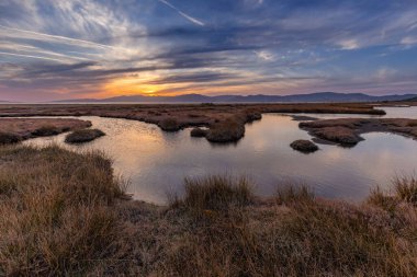 A picturesque seaside landscape at sunset with calm water, lush vegetation and mountains under a clear sky