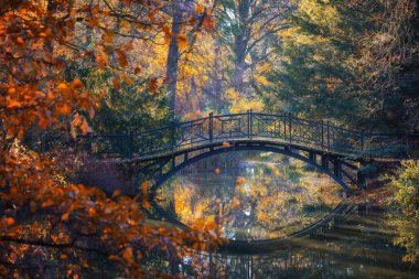 Köprü ve Yapraklarla Altın Sonbahar Yansıması, Polonya