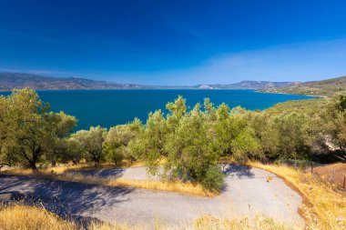 Canlı Mavi Deniz ve tepelerde zeytin ağaçları Güneşli bir gün, Lesvos Adası, arka plan veya duvar kağıdı