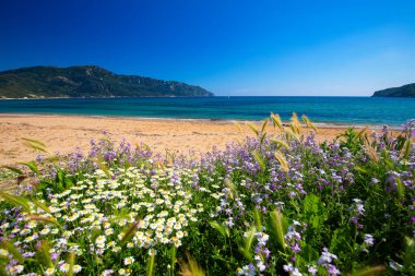 Yunanistan 'ın Korfu adasında bir deniz manzarası, bir seyahat duvar kağıdı veya tatil geçmişi