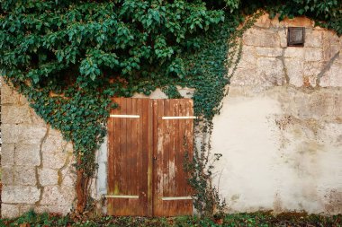 Kırsal ahşap kapılar yıpranmış taş bir duvardaki canlı sarmaşık tarafından çerçevelenmiş doğal güzelliği ve manzaranın davetkar atmosferini arttırıyor.