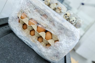 Plastik ambalajda taze paketlenmiş yumurtalar, sağlam bir karton içinde tavuk ve bıldırcın yumurtası kombinasyonu, pişirme ve pişirme için ideal.