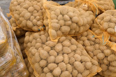 Yığınla taze patates dolu ağ torbaları, toprak dokuları ve doğal ürünlerin altını çizmek, tarım ve pazar temaları için ideal.