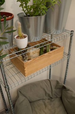 İçerideki bitki sergisi metal kaplar ve sulu sularla dolu ahşap bir kutu içeriyor, rahat bir yaşam alanının huzurlu atmosferini arttırıyor.